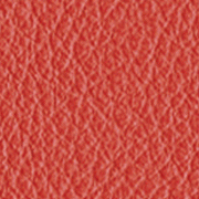 Piel Rojo Ladrillo