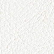Piel Blanco hielo