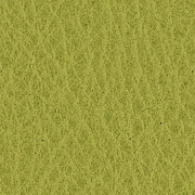 Piel Verde Manzana
