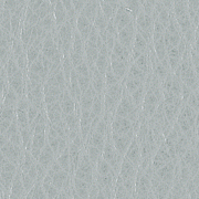 Piel Gris Ice