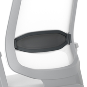 apoyo Lumbar Comfort