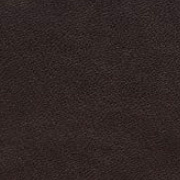 Piel Marrón oscuro