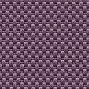 Nova Violeta