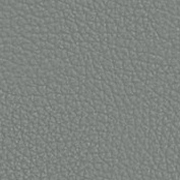 Piel Gris Ice