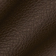 Piel Terra