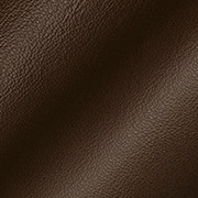 Piel Cacao