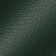 Piel Verde